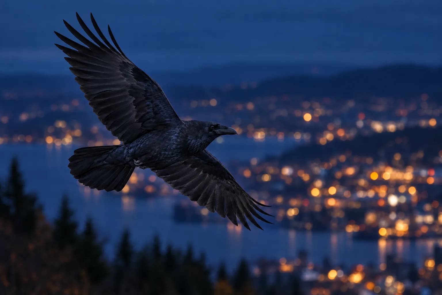 En ravn i flukt med vingene spredt, foran en uskarp bakgrunn av Oslo og fjorden en grå høstettermiddag